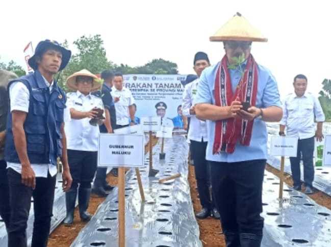 Gub : Pimpin Gerakan Tanam 100 Ribu Anakan Cabai Serempak, Tekan Inflasi & apresiasi BI Maluku  telah aktif Bangun Pertanian di Maluku