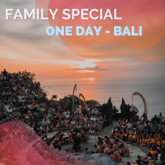 FAMILY SPECIAL ONE DAY - BALI