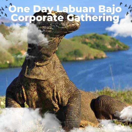 ONE DAY LABUAN BAJO CORPORATE GATHERING