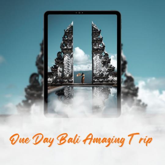 ONE DAY BALI AMAZING TOUR