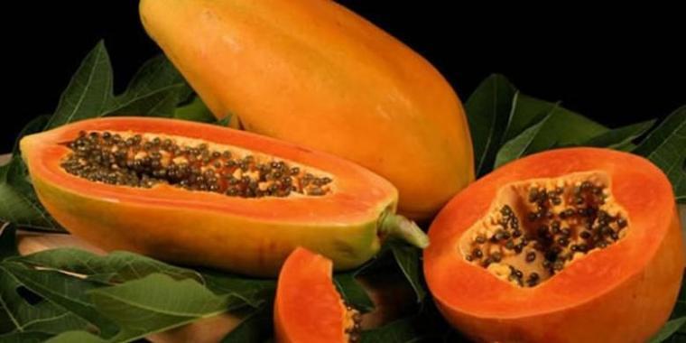 Pepaya dan Kontribusinya terhadap Dunia Kuliner Indonesia